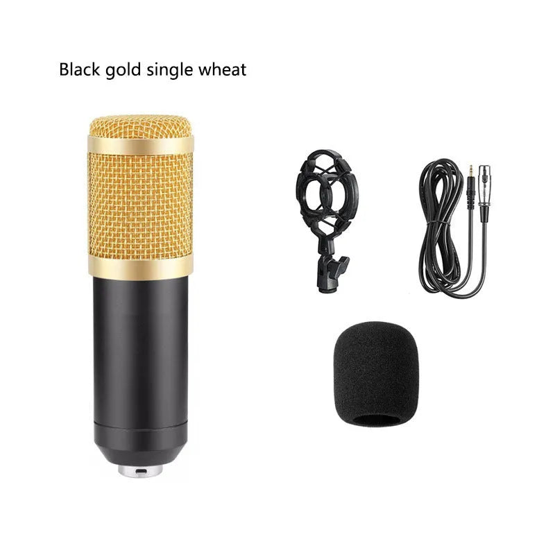 BM800 condenser microphone with V8 sound card mounted on a black cantilever bracket with pop filter, in a complete streaming kit.