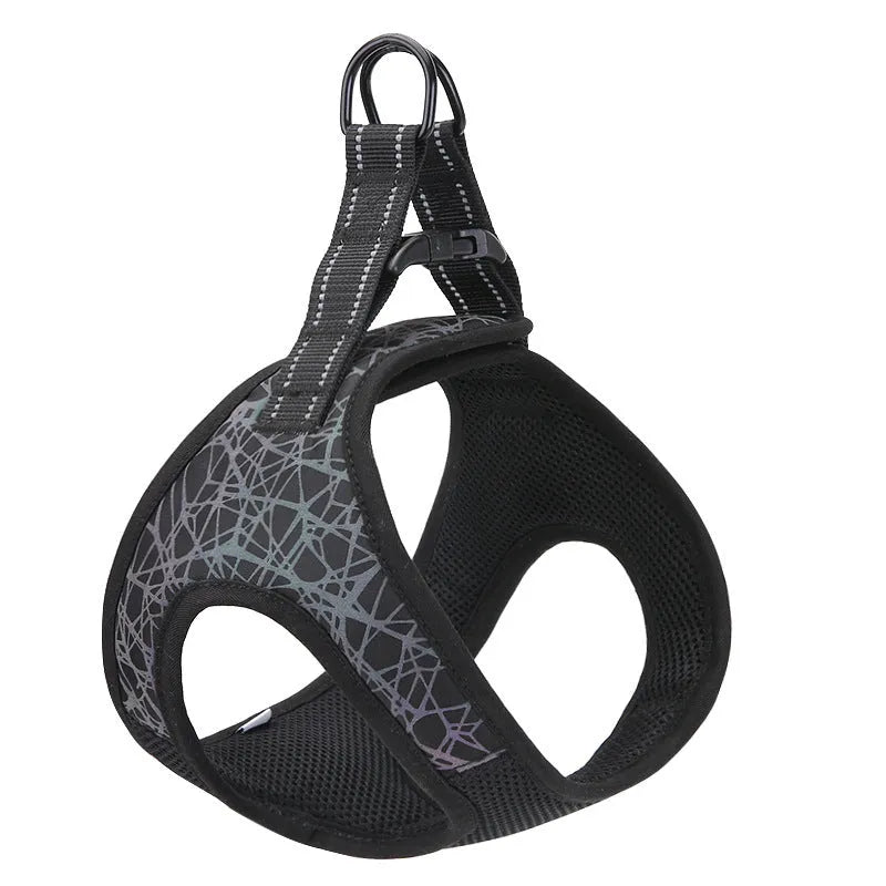 Dog leash vest in blue colour made of polyester and nylon with adjustable straps