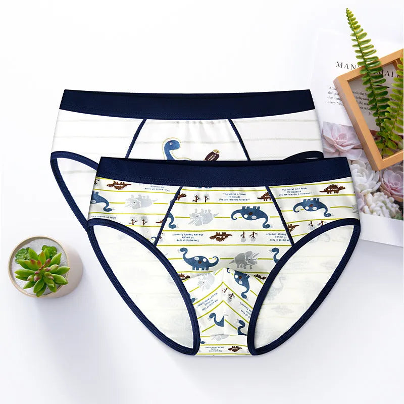 Boys cotton boxer briefs with dinosaur print, 95% cotton, available in sizes 110cm to 180cm