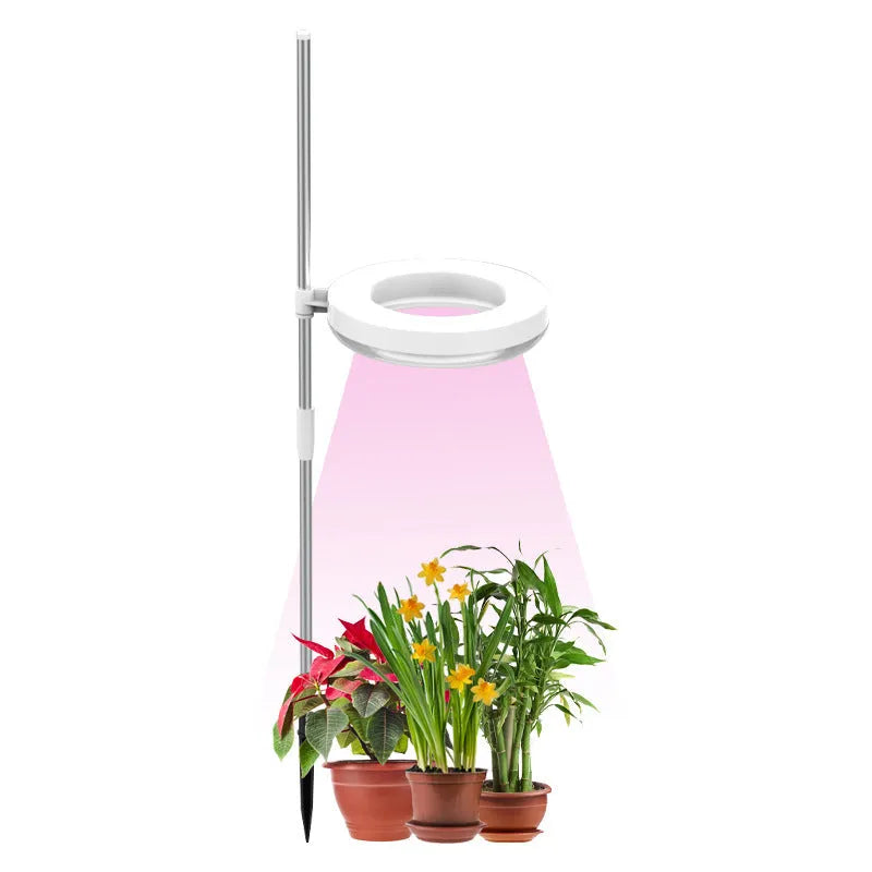 Compact plant growth lamp with LED lighting for desk plants showing full spectrum colour option