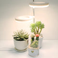 Compact plant growth lamp with LED lighting for desk plants showing full spectrum colour option