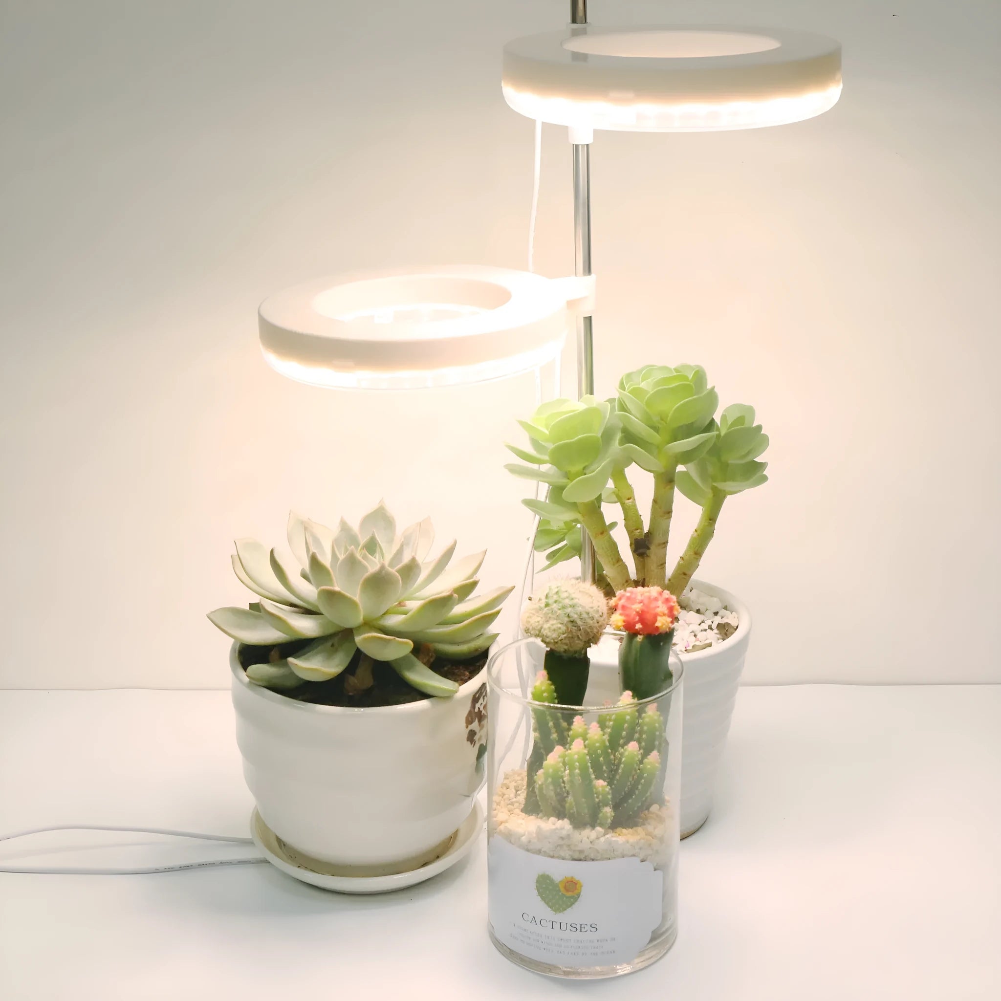 Compact plant growth lamp with LED lighting for desk plants showing full spectrum colour option