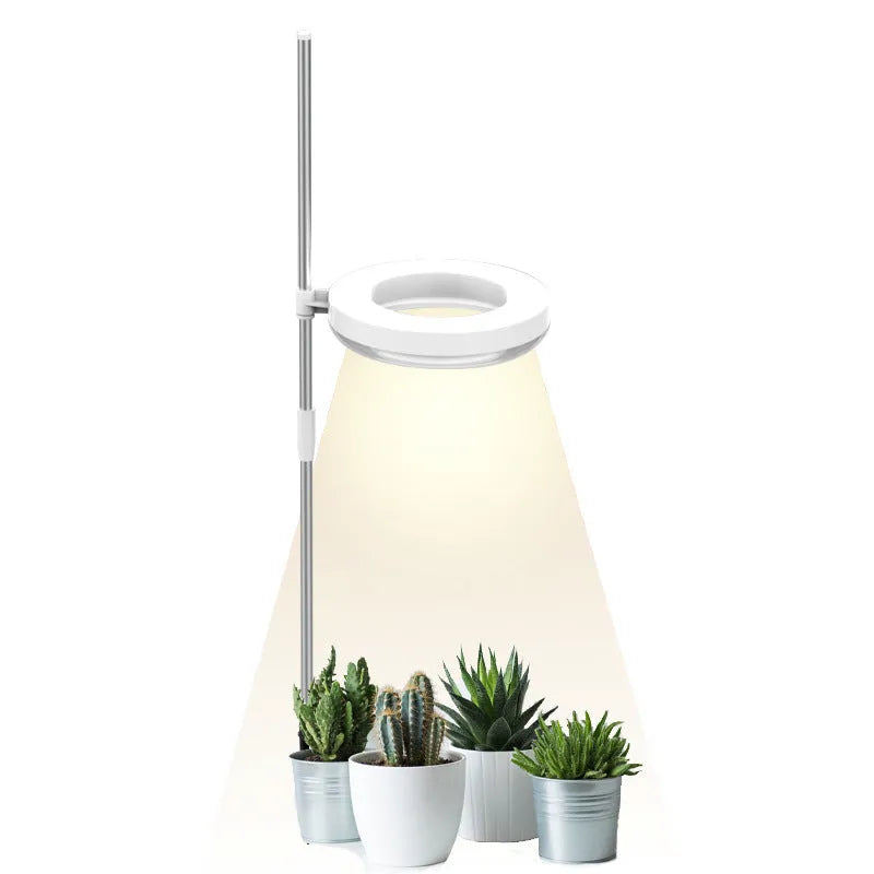 Compact plant growth lamp with LED lighting for desk plants showing full spectrum colour option
