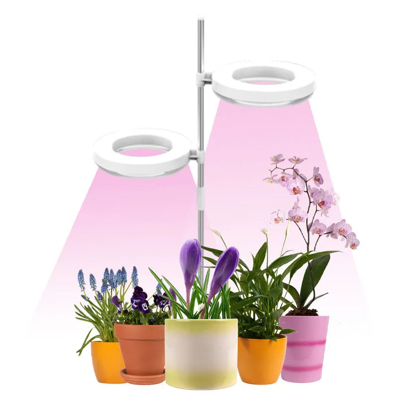 Compact plant growth lamp with LED lighting for desk plants showing full spectrum colour option
