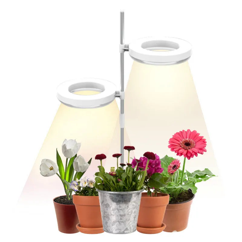 Compact plant growth lamp with LED lighting for desk plants showing full spectrum colour option
