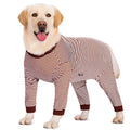 Four-legged striped dog shirt on Golden Retriever showing full coverage design with sky blue colour