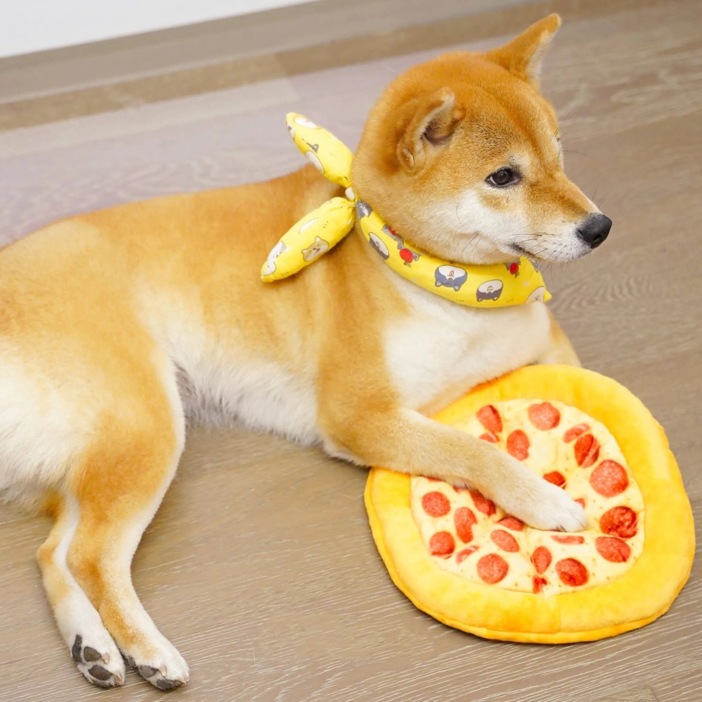 Yellow pizza slice shaped dog chew toy with textured pepperoni and crust details