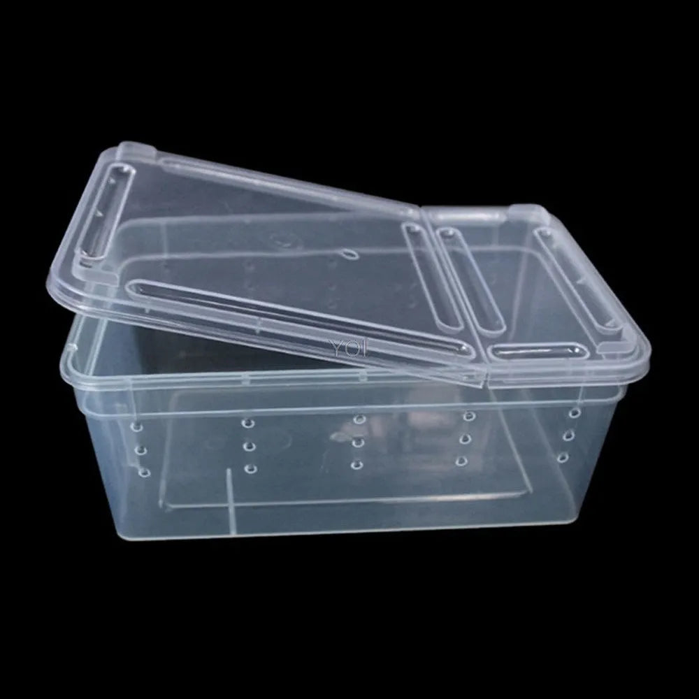 Plastic transparent reptile feeding box 19x12.5x7.5cm on a white background