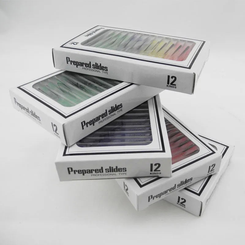 Children's educational microscope slides showing plant rhizomes, stems, leaves, and animal specimens in colour-coded categories