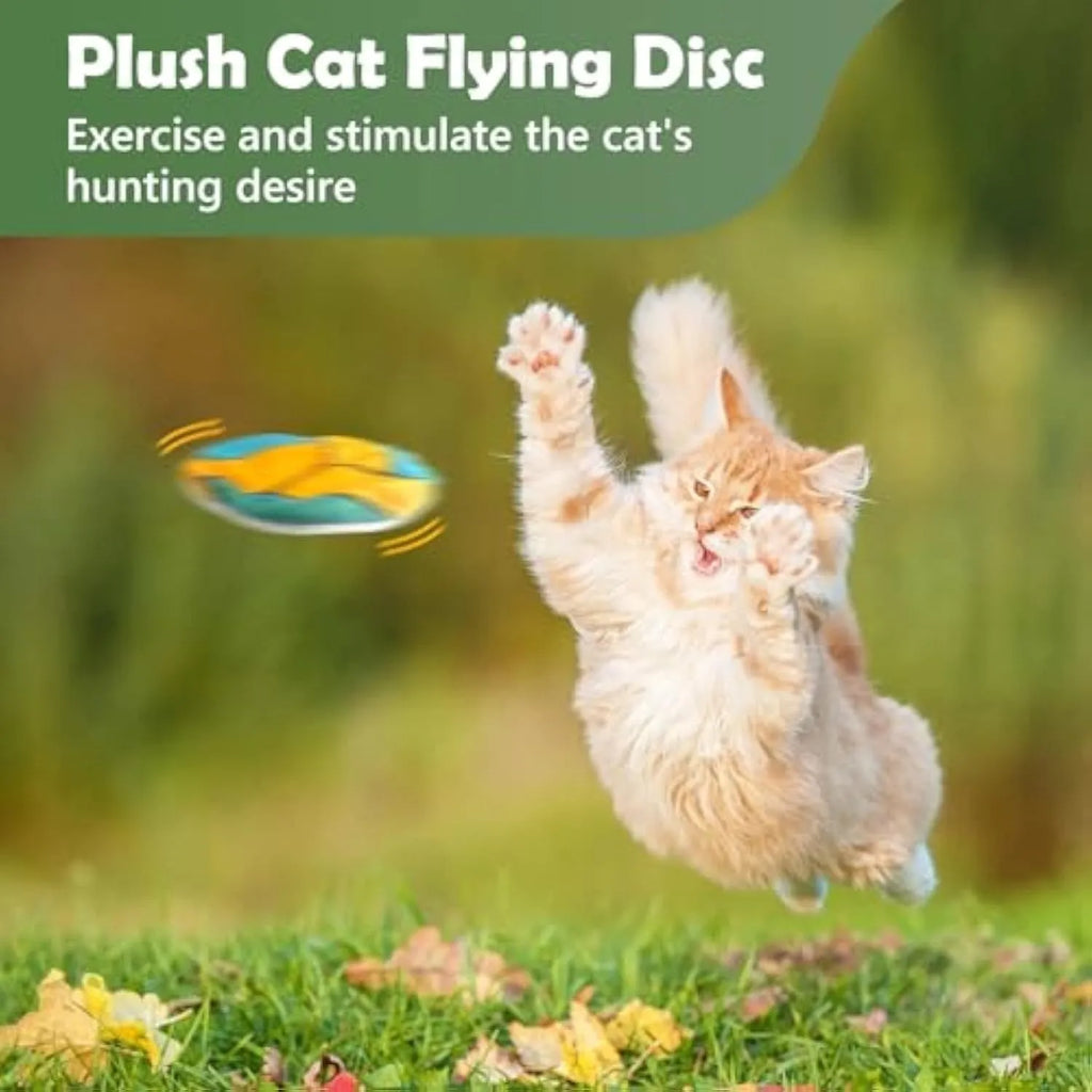 5cm catnip and crinkle disc toy with plush exterior in sports ball patterns