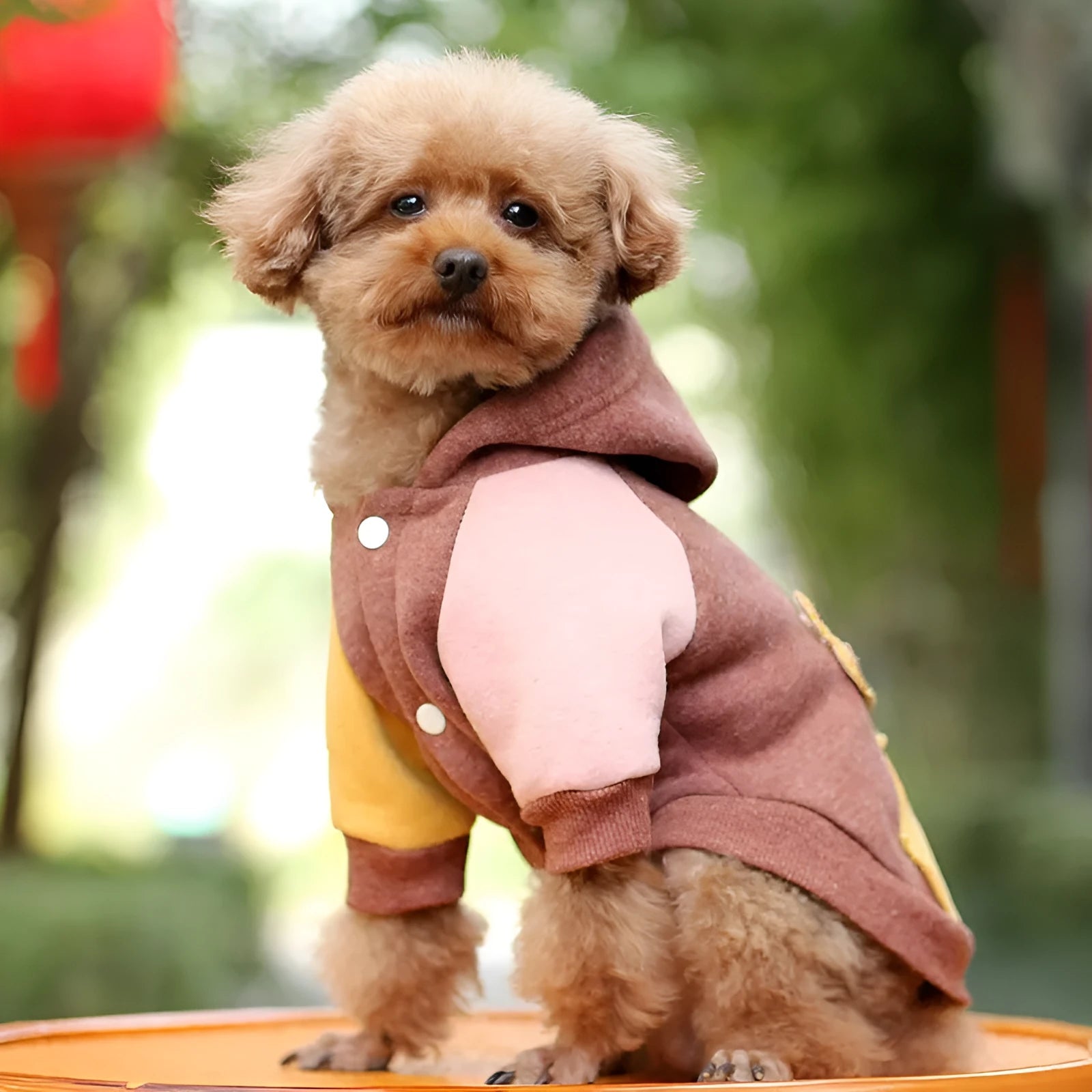 Brown cotton-blend pet sweatshirt for dogs or cats in size medium