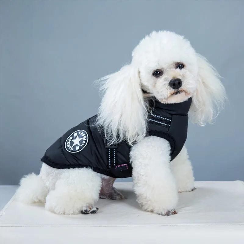 Waterproof dog coat with harness hole in rain silk fabric, available in multiple colours and sizes