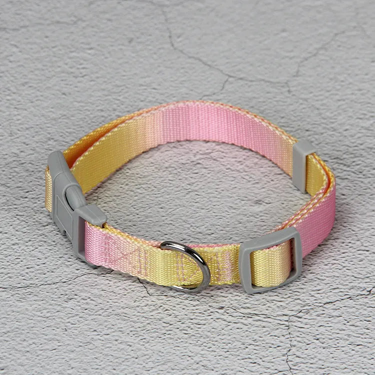 Gradient colour nylon dog leash set showing pink and yellow colour blend on a chest back harness style.
