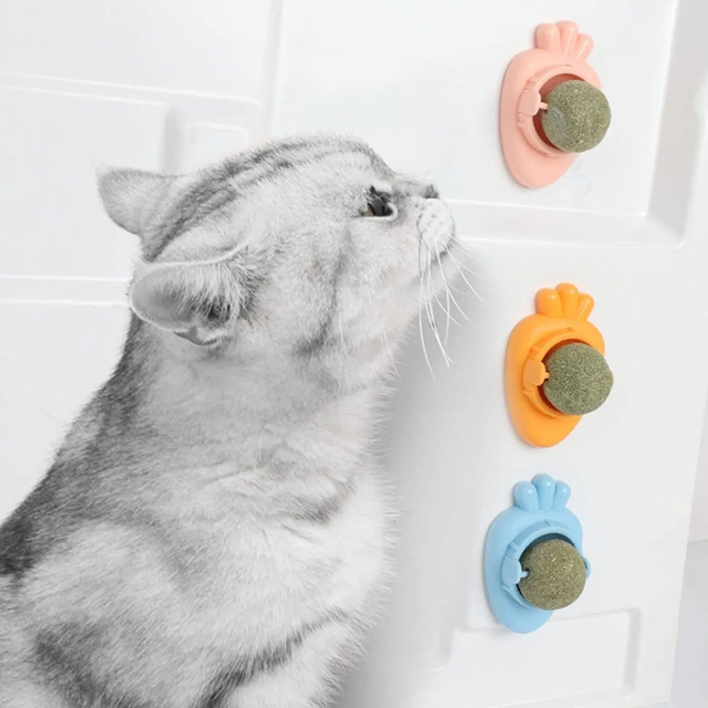 Blue carrot-shaped catnip toy with self-adhesive sticker for wall mounting