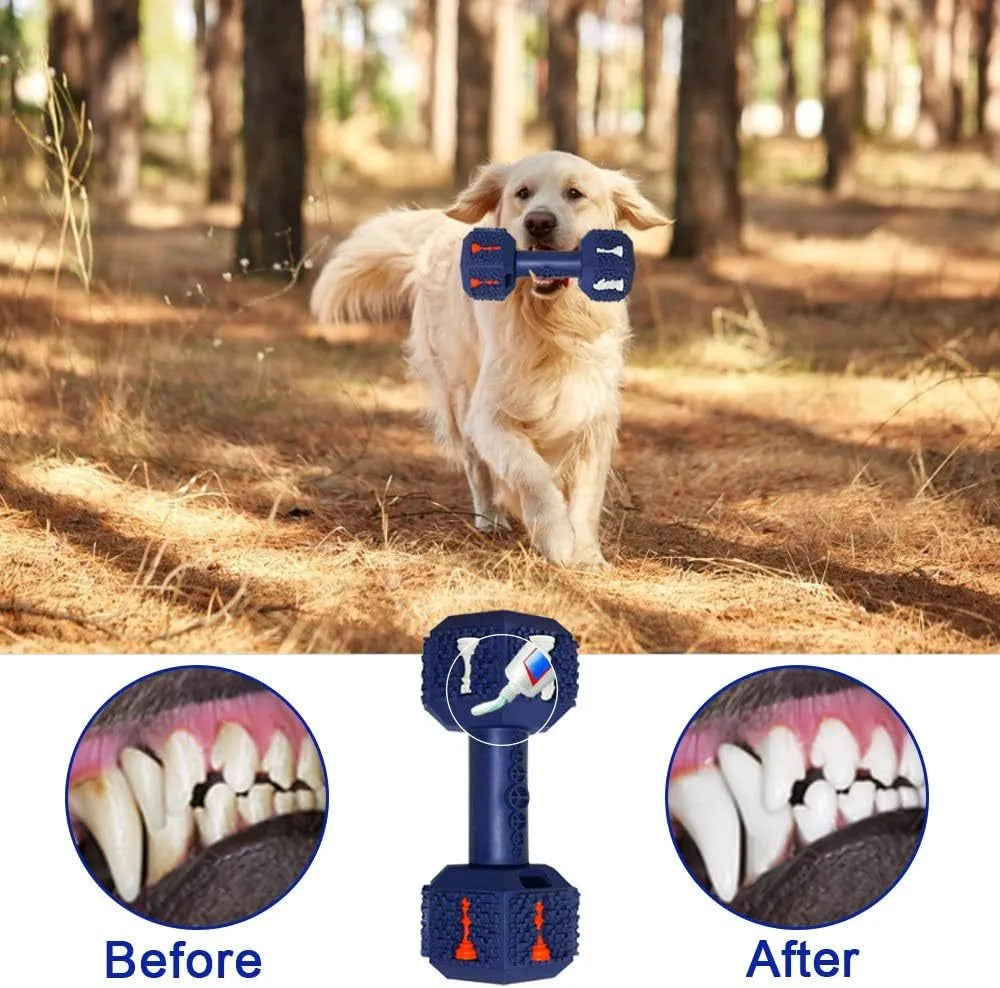 Natural rubber hollow dumbbell dog chew toy for aggressive chewers in blue.