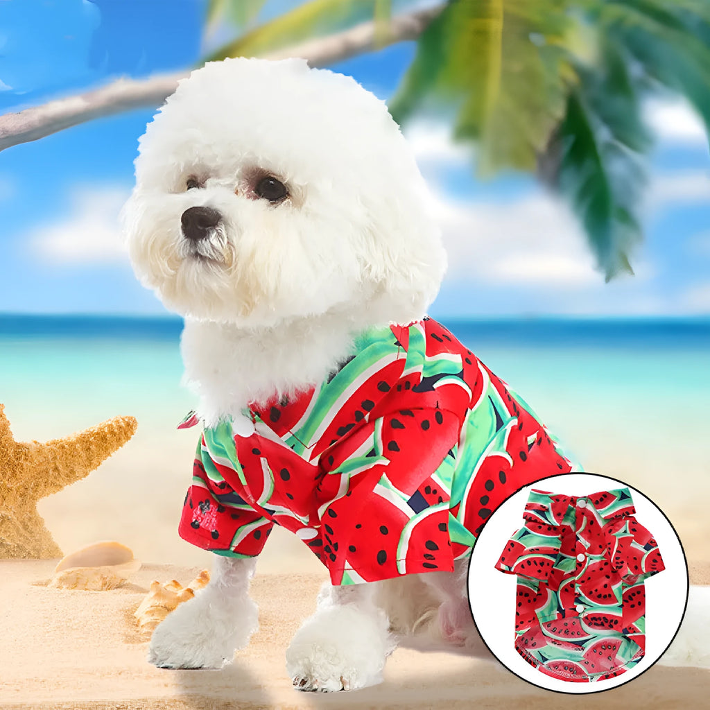 Fruit casual polyester dog clothes in pineapple powder colour for small to large dogs