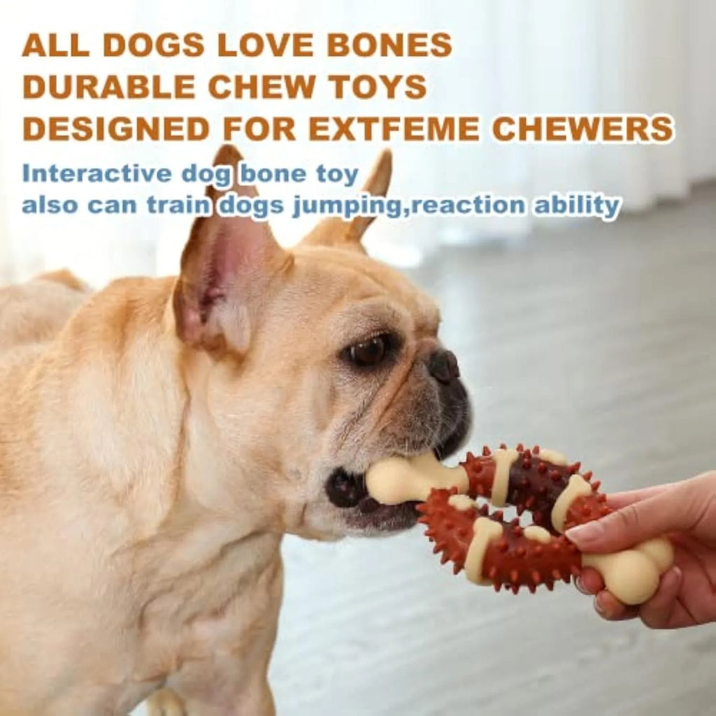 Bone-shaped natural rubber dog molar chew toy for teeth grinding and anxiety relief