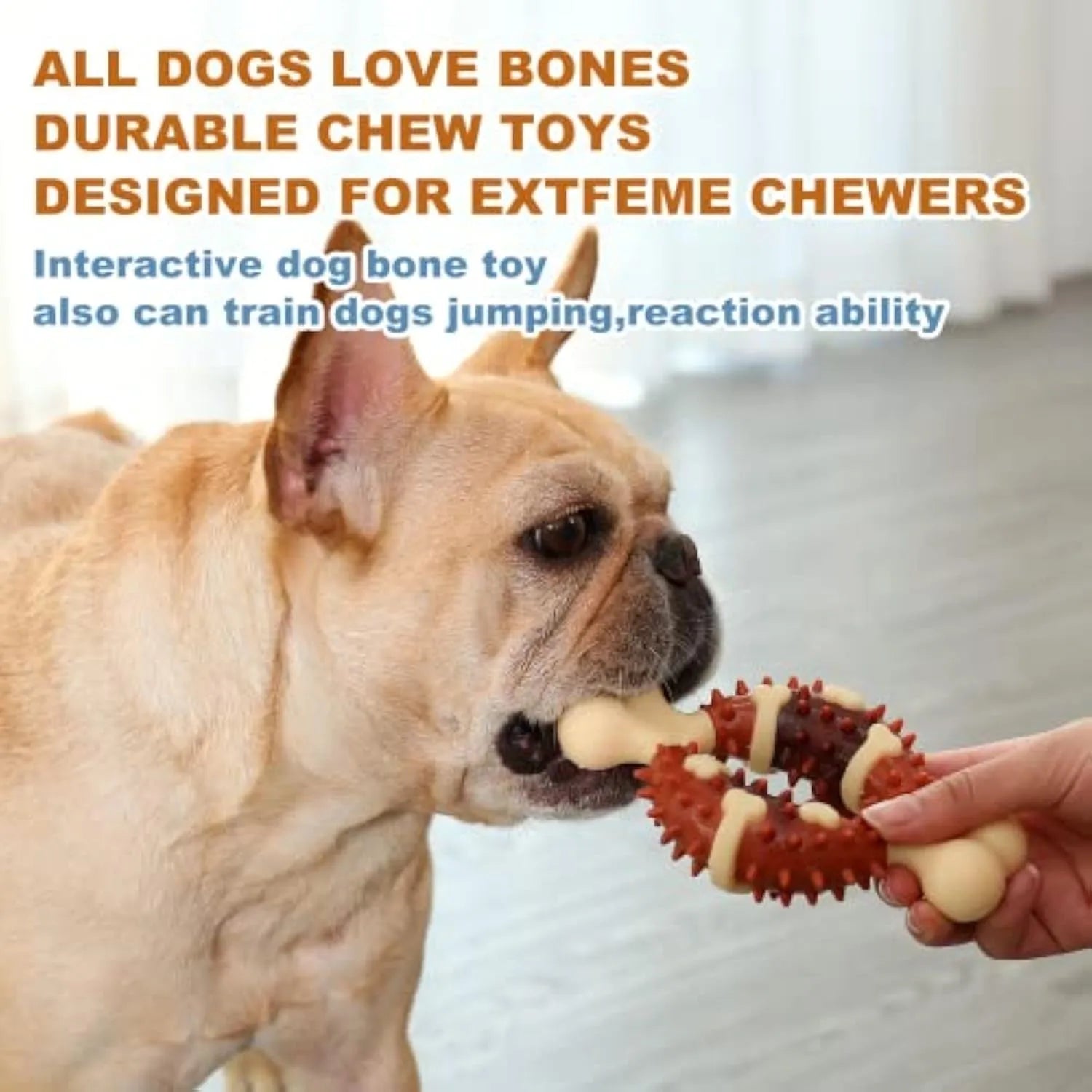 Bone-shaped natural rubber dog molar chew toy for teeth grinding and anxiety relief