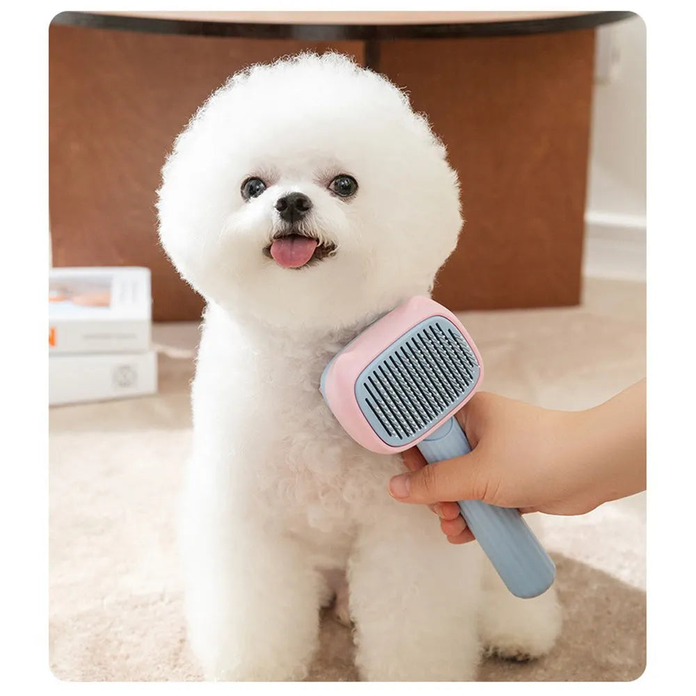 Blue and green double-sided pet grooming brush for deshedding and dematting cats and large dogs.