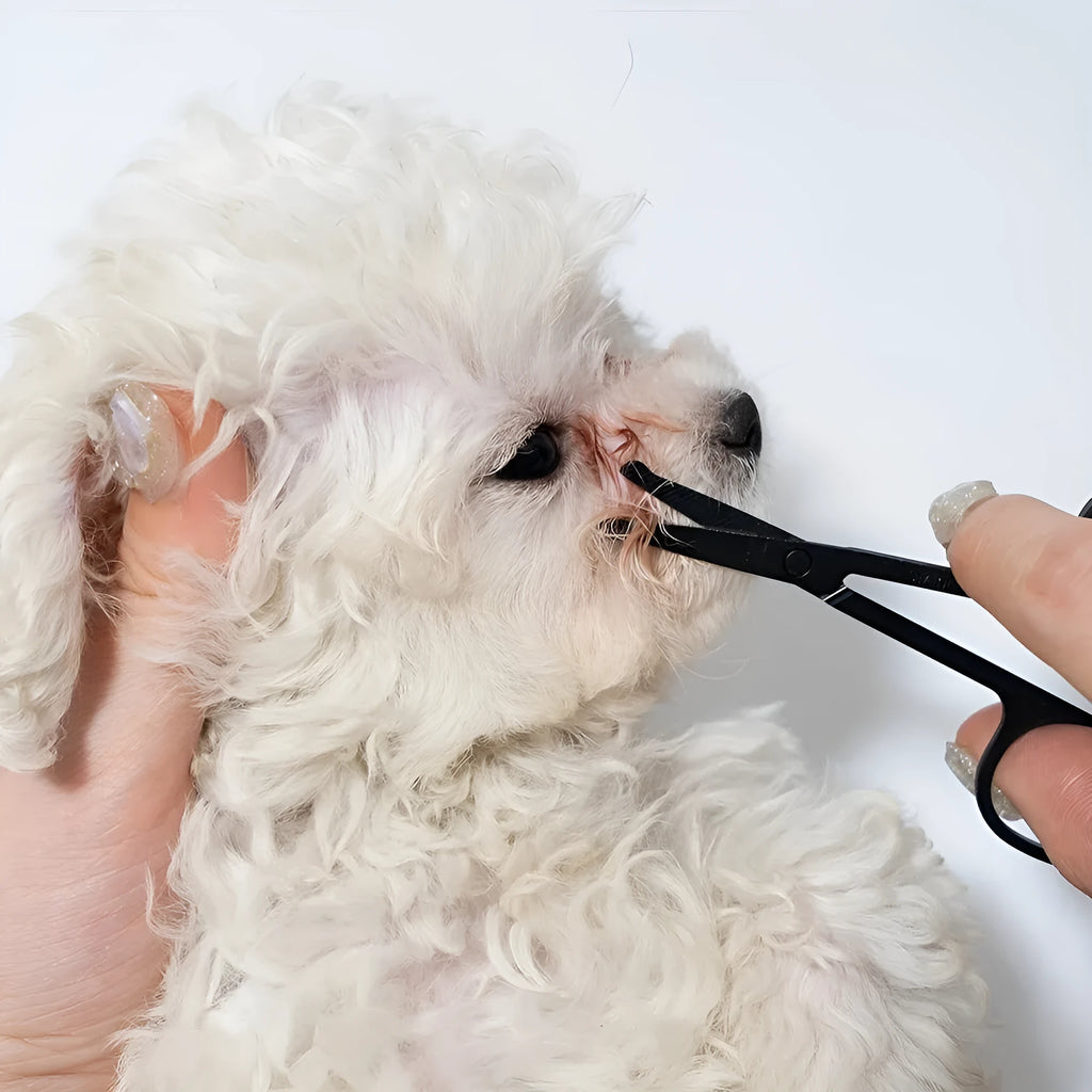 Black ambidextrous pet grooming brush with soft bristles for tear stain removal on dogs and cats