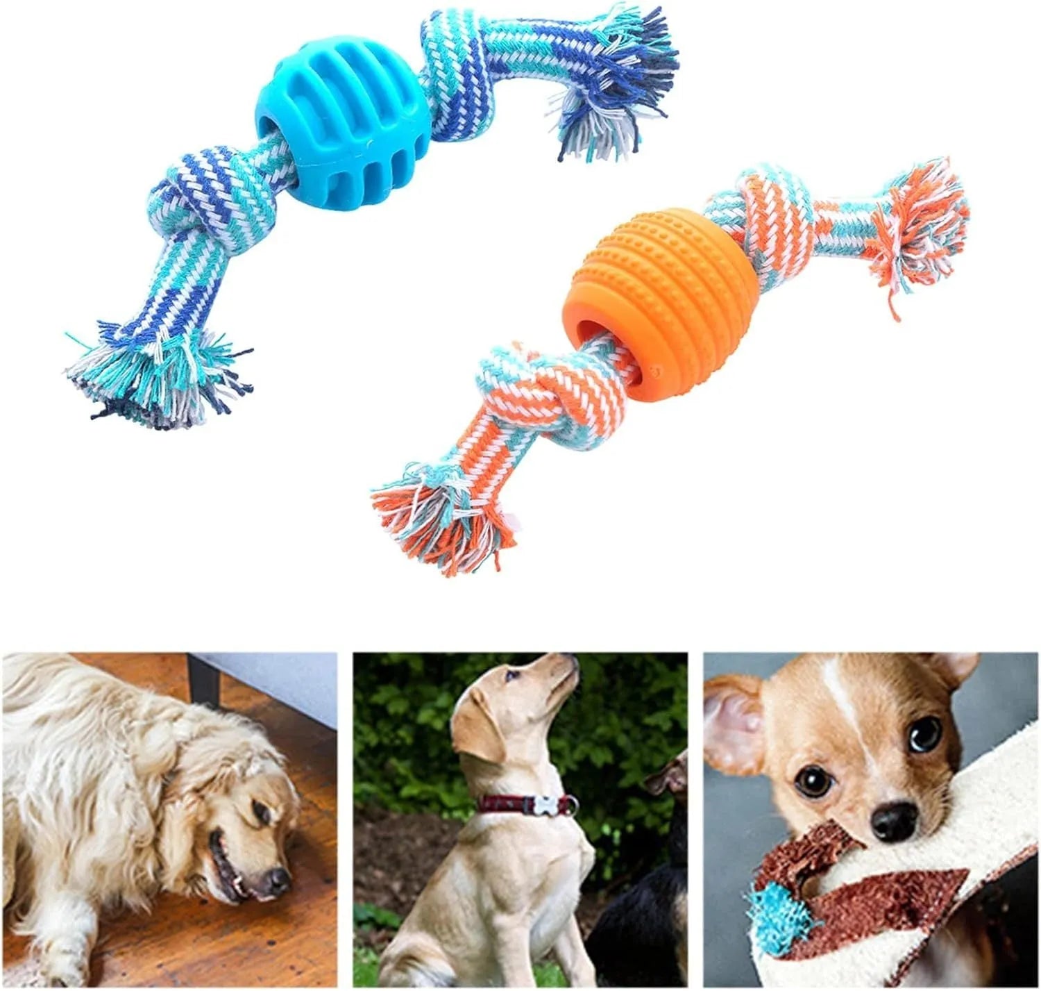 Blue molar-shaped dog chew toy with natural fibre ropes for dental cleaning