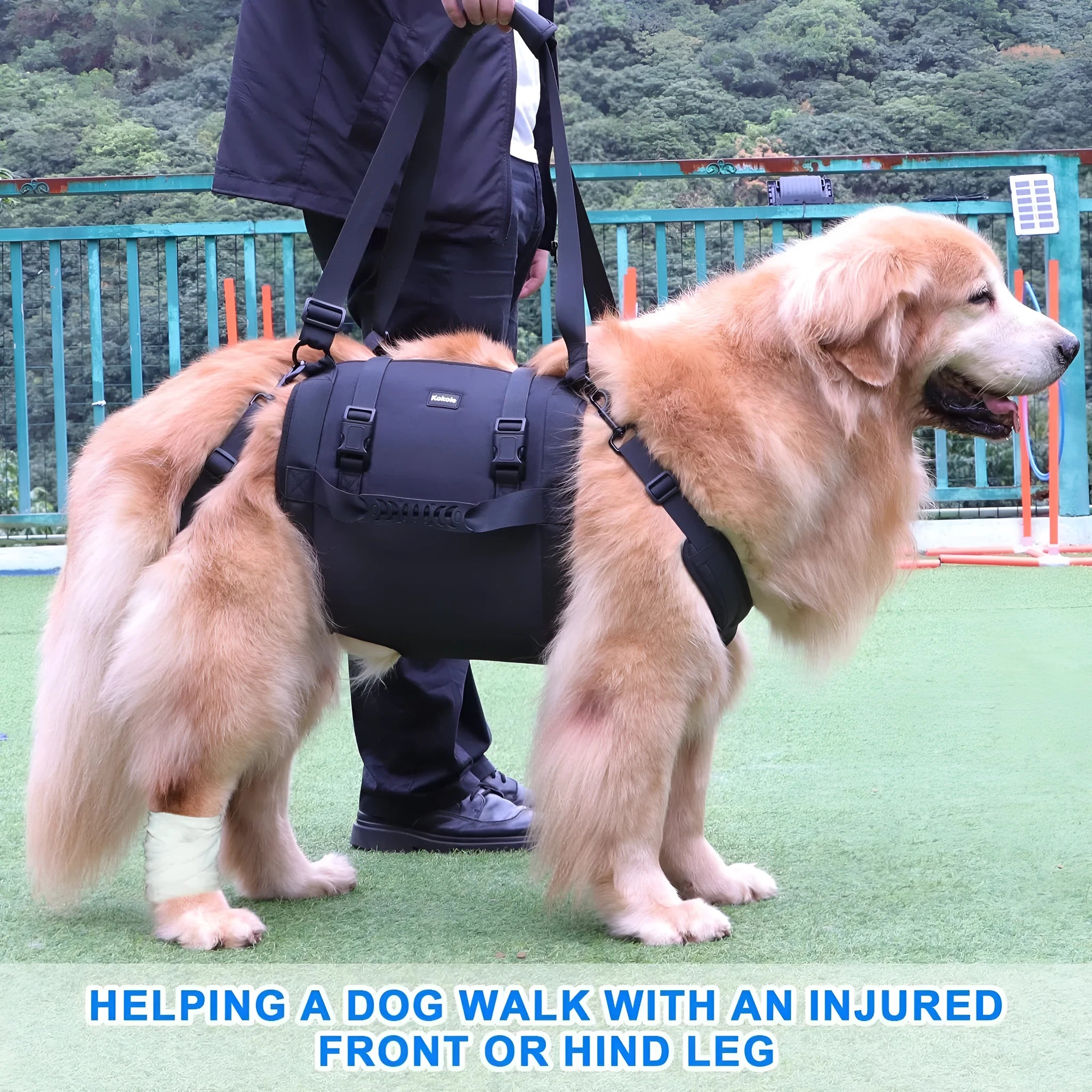 Black Oxford cloth dog harness shown on a dog, highlighting adjustable straps and chest support.