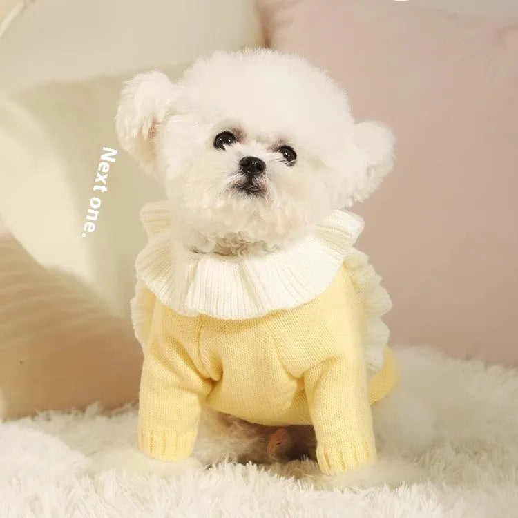 Yellow acrylic dog sweater shown on small breed pet with chest measurement guide