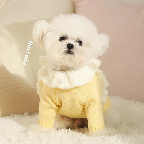 Yellow acrylic dog sweater shown on small breed pet with chest measurement guide