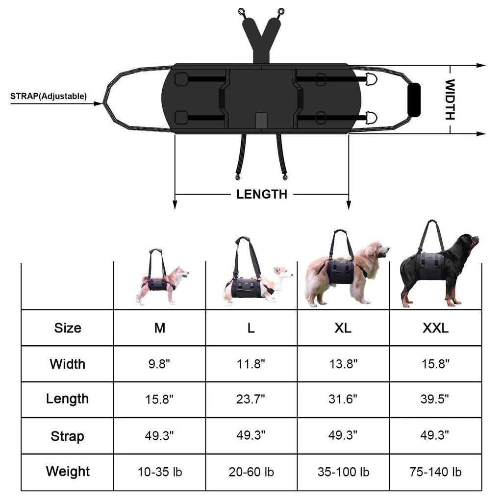 Black Oxford cloth dog harness shown on a dog, highlighting adjustable straps and chest support.