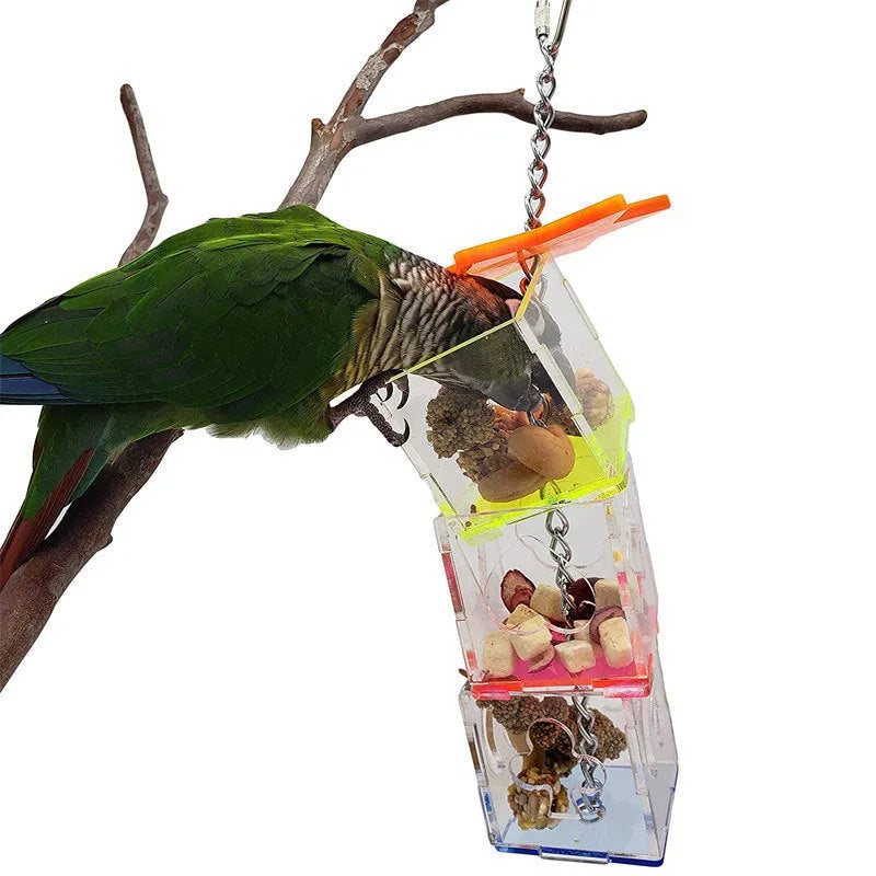 Transparent acrylic parrot foraging toy measuring 32cm long for bird enrichment with fruits and nuts