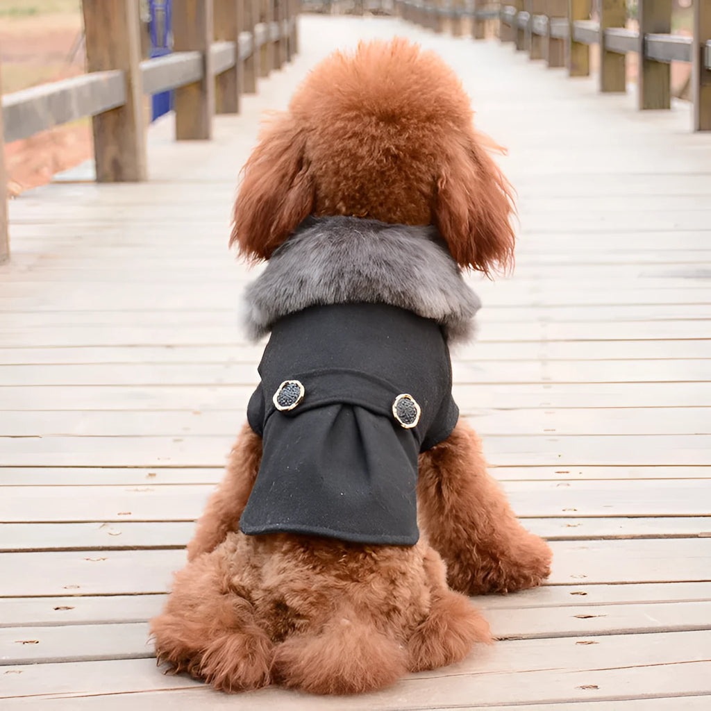 Solid colour autumn winter pet clothing from New Pet Feet in black on an animal