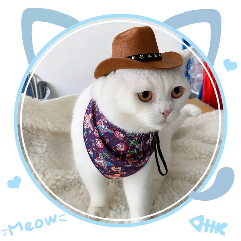 British cat cowboy hat in non-woven fabric with pointed ears, shown in black with ribbon trim