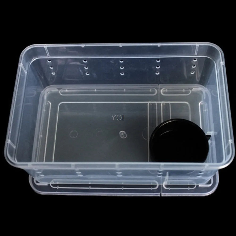 Plastic transparent reptile feeding box 19x12.5x7.5cm on a white background