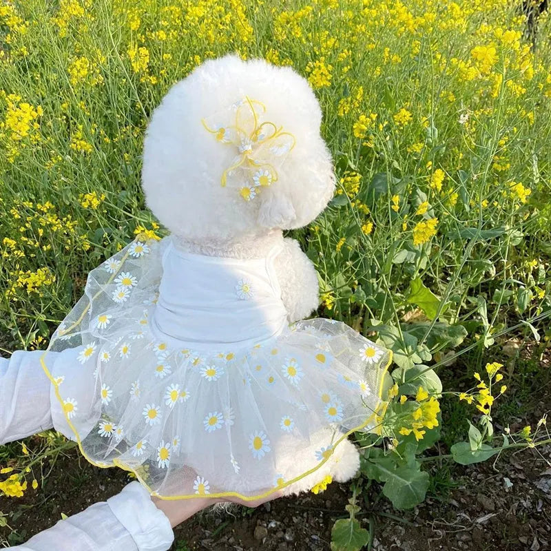 Yellow daisy print summer dog clothes made from lightweight polyester fabric