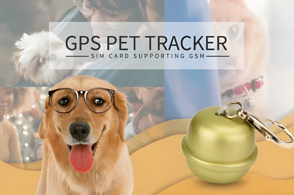 GPS dog tracking collar in black, brown, green, and pink colour options