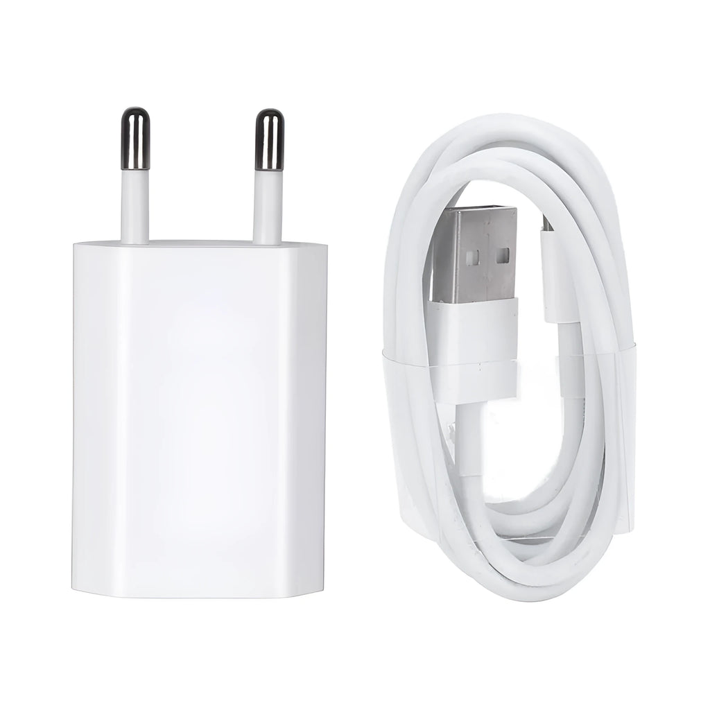 5V 2A USB wall charger with Lightning cable compatible with iPhone and iPad models