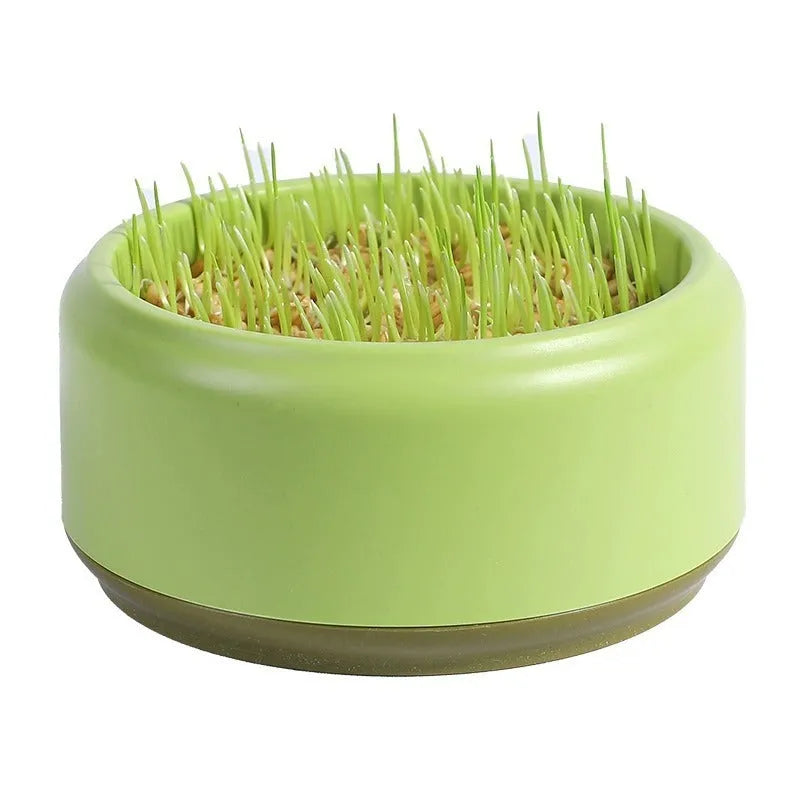 Blue, green, and yellow hydroponic cat grass kits with soilless planters and seed packets.