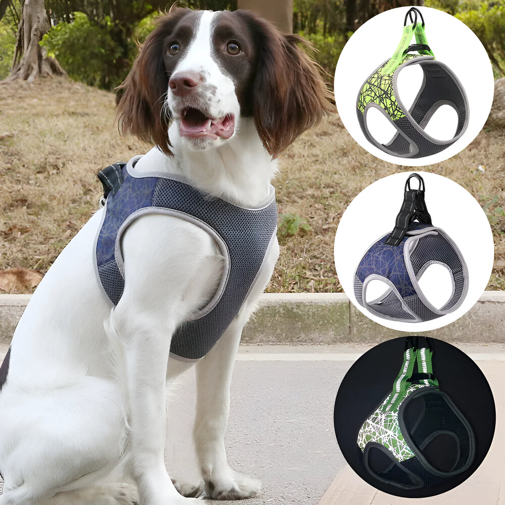 Dog leash vest in blue colour made of polyester and nylon with adjustable straps