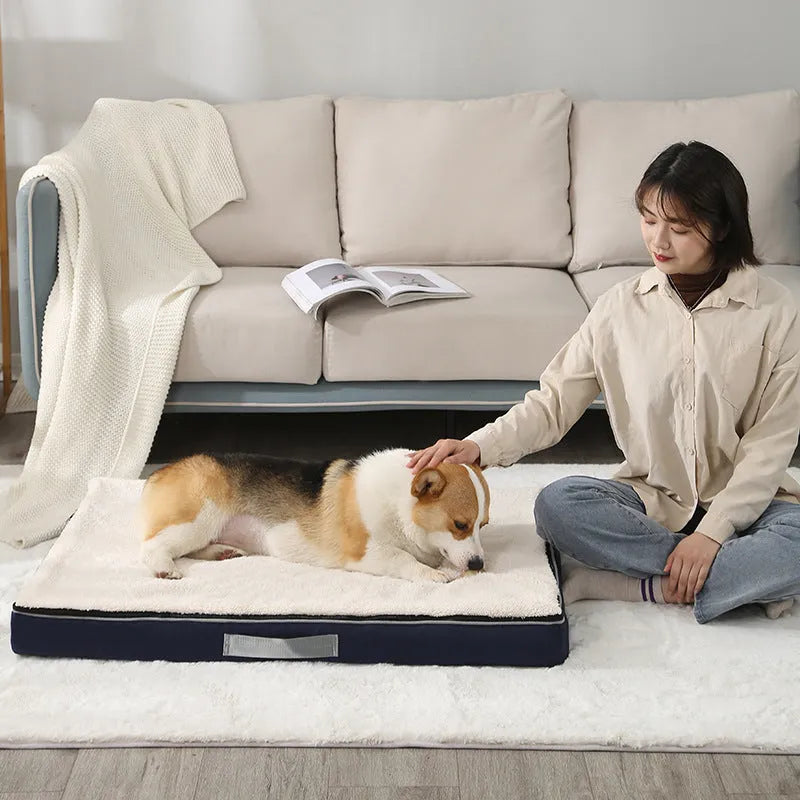 Removable washable sponge pet mat for dogs in multiple size and colour options