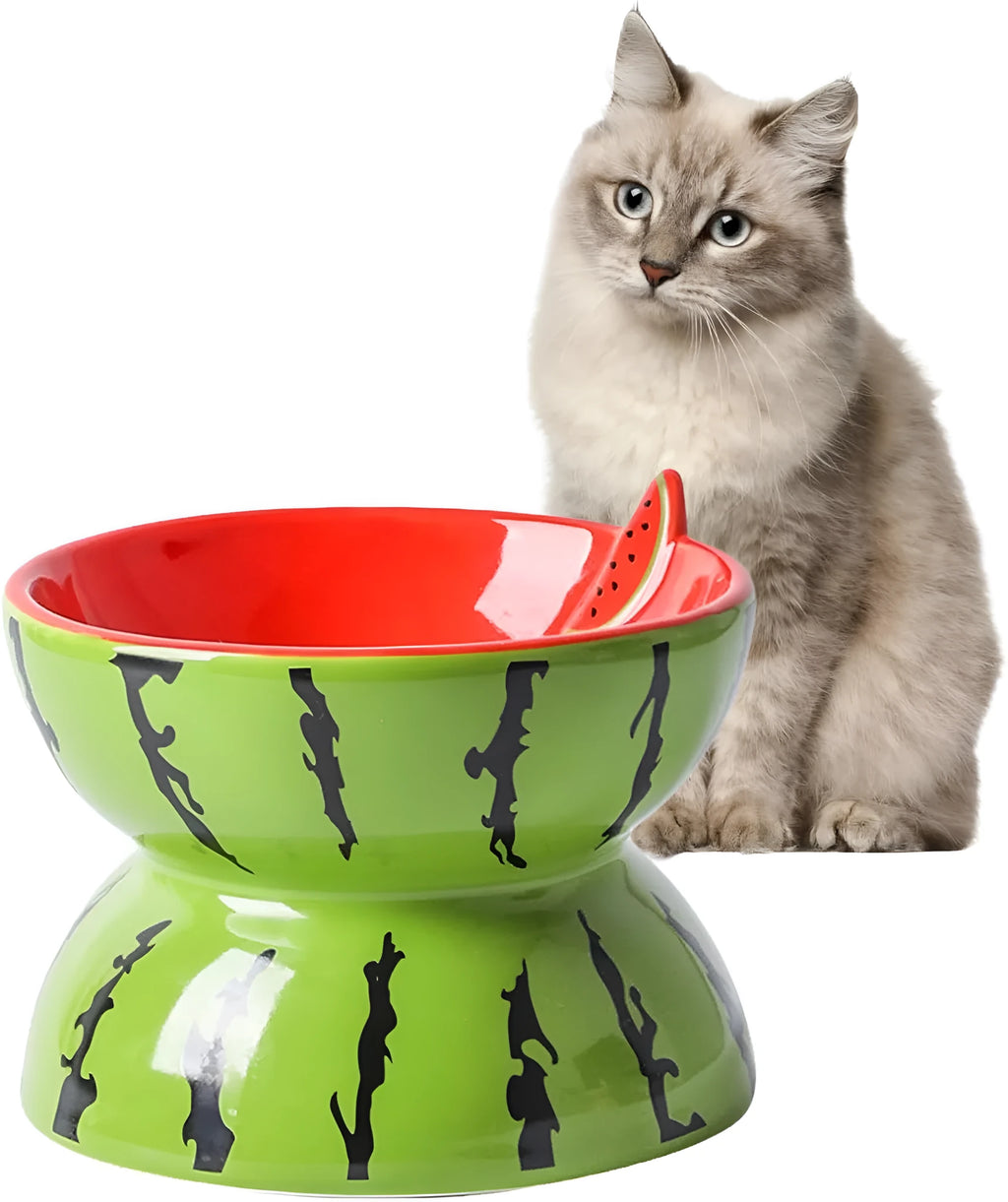 Ceramic elevated cat bowl with tilted design in orange, pitaya, or watermelon patterns