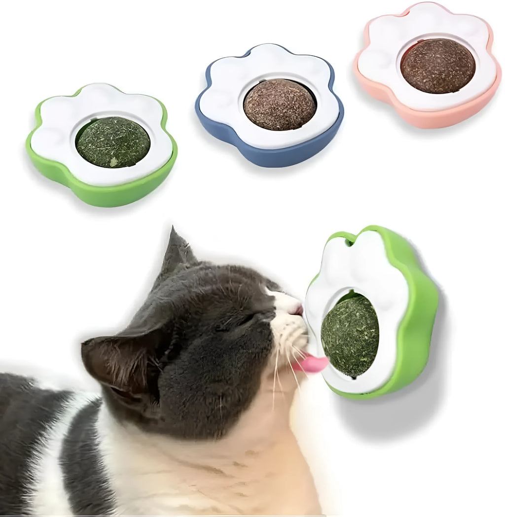 Blue plush catnip mouse toy with edible lick surface for dental health, shown next to a green and pink version.