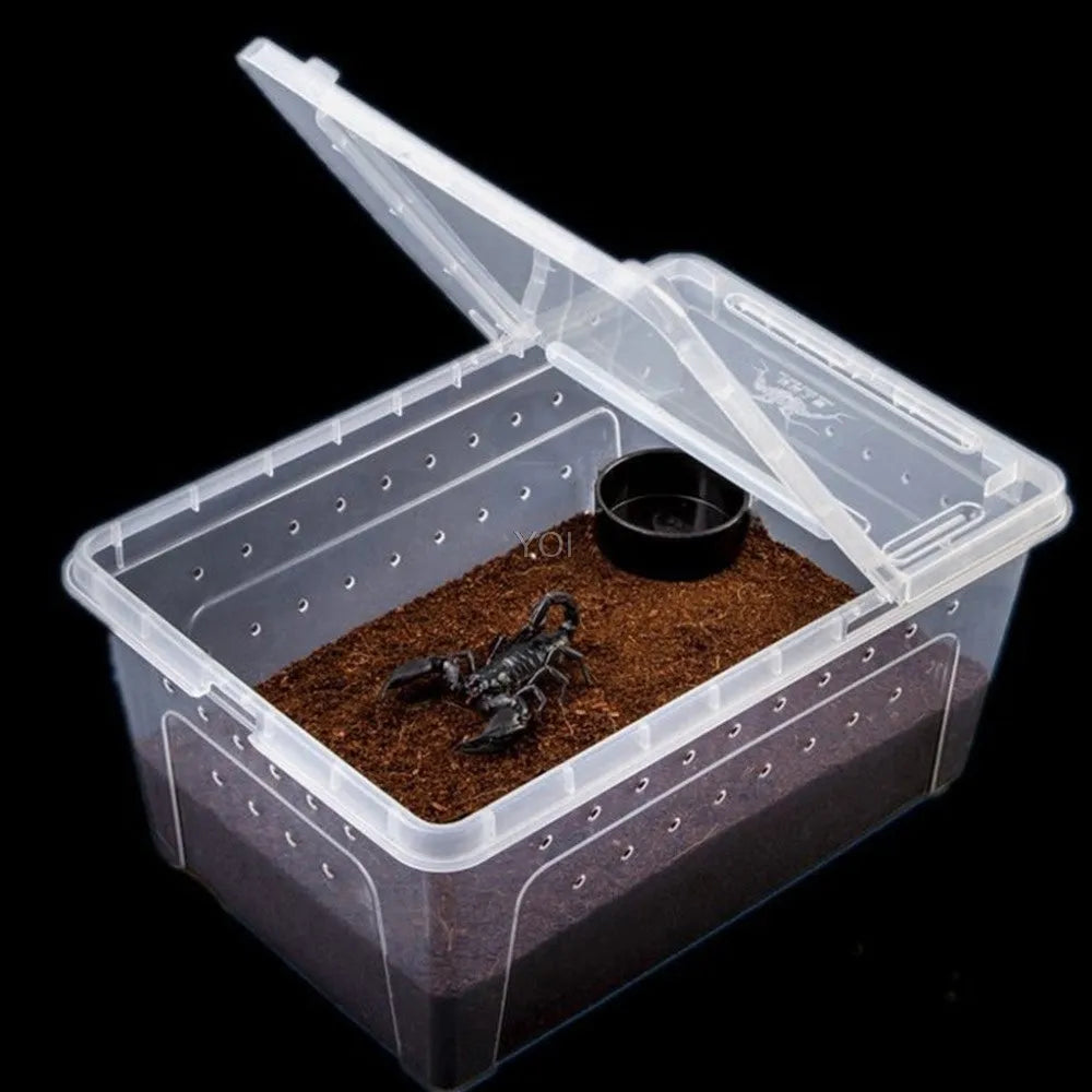 Plastic transparent reptile feeding box 19x12.5x7.5cm on a white background