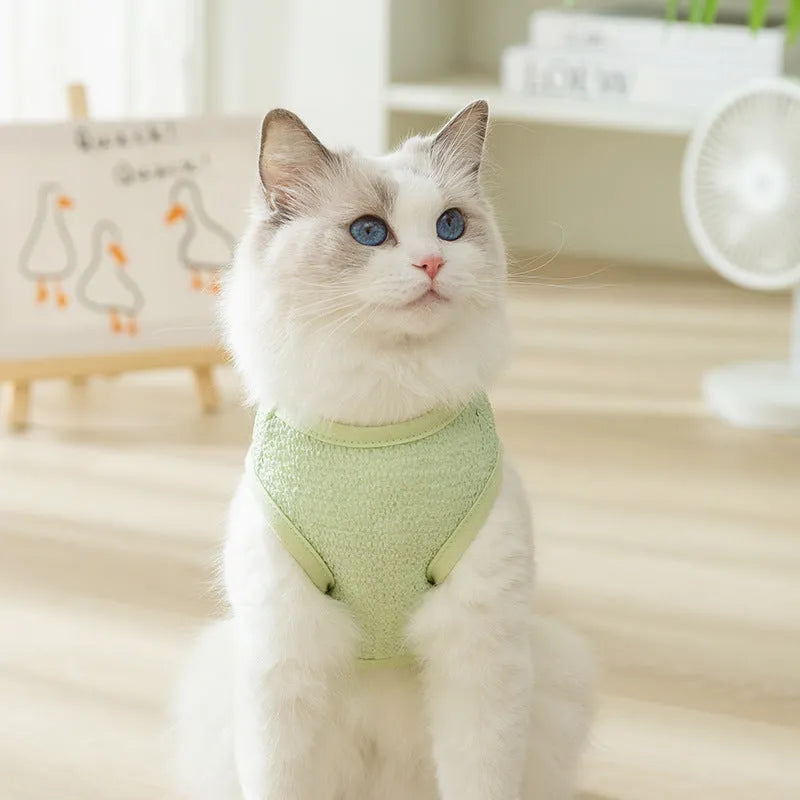 Green knitted cat clothing with a hollowed-out cartoon bear patch on the back.