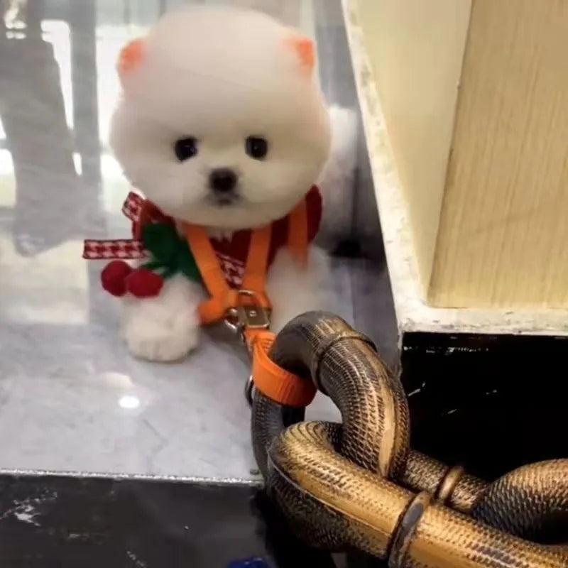 PP plastic dog leash simulation rope prop in bronze, antique silver, or black colours for video filming.