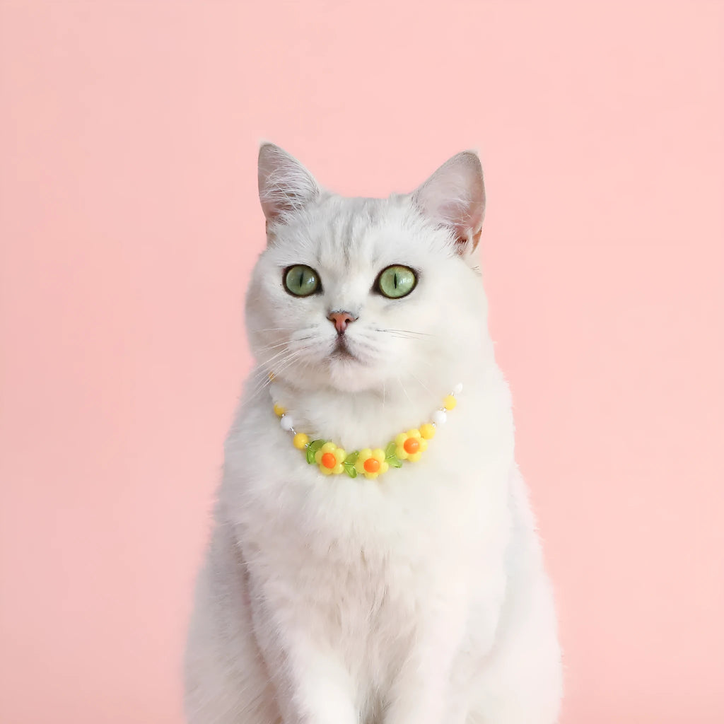 Colourful plastic bead cat necklace adjustable for pet wear in rainbow, peach, or small flower patterns