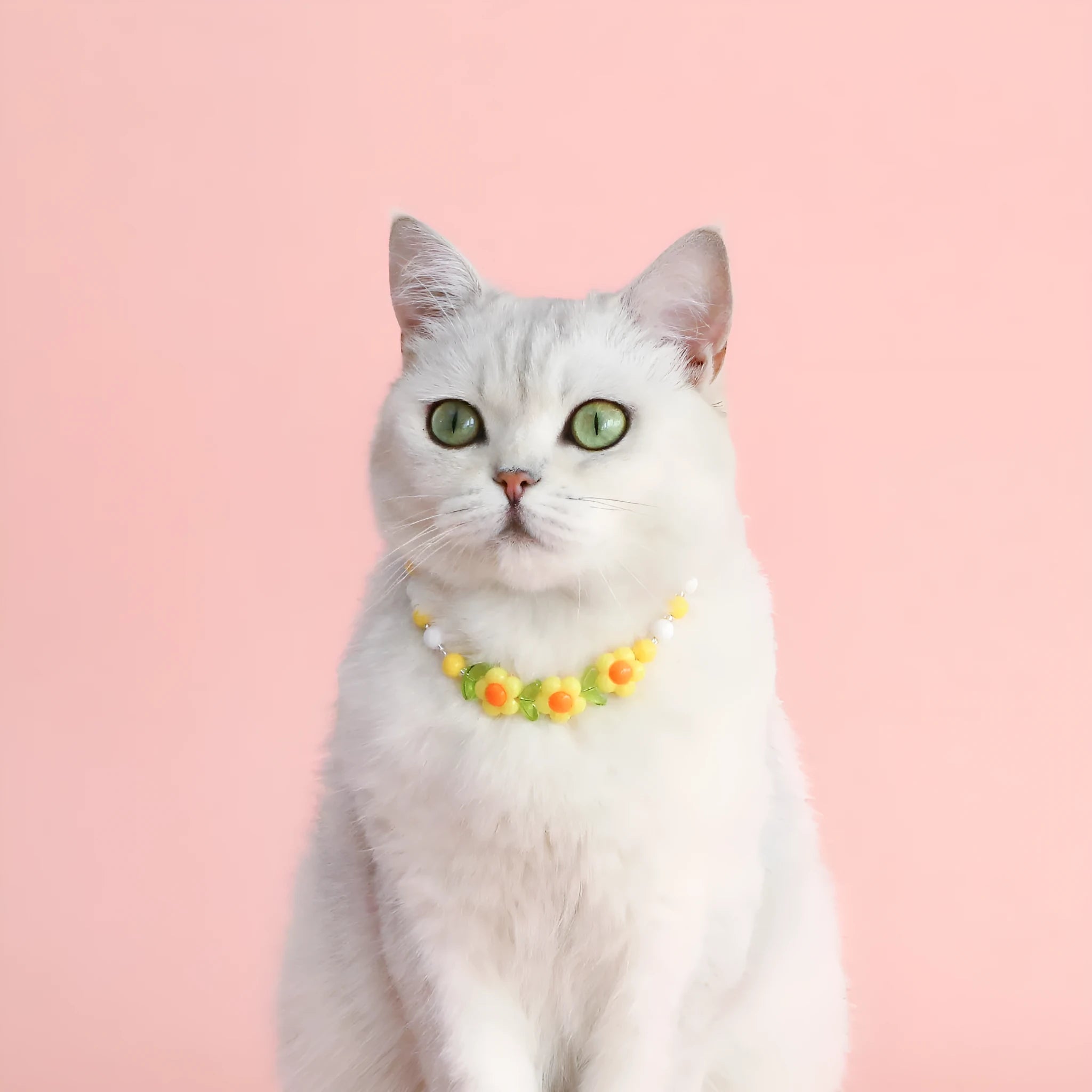 Colourful plastic bead cat necklace adjustable for pet wear in rainbow, peach, or small flower patterns
