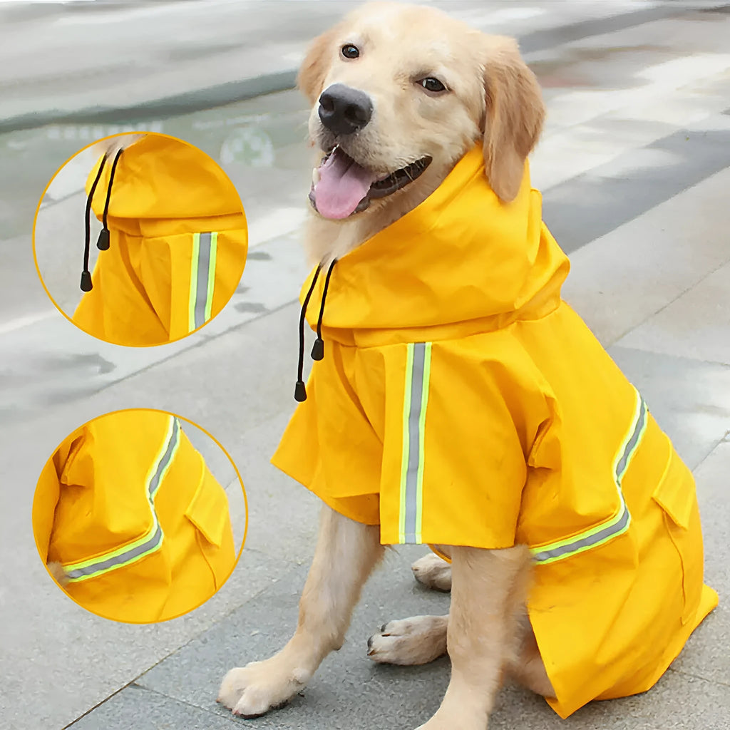 Waterproof dog raincoat in synthetic leather with reflective stripe and hood on a small dog