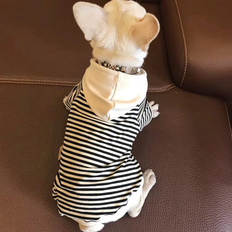 Cotton terry sweater for small dogs in khaki colour, sweatshirt style for Teddy breed