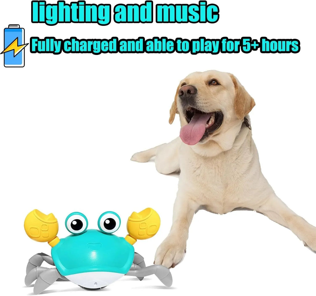 Blue or red electronic crawling crab dog toy with lights, shown on floor.