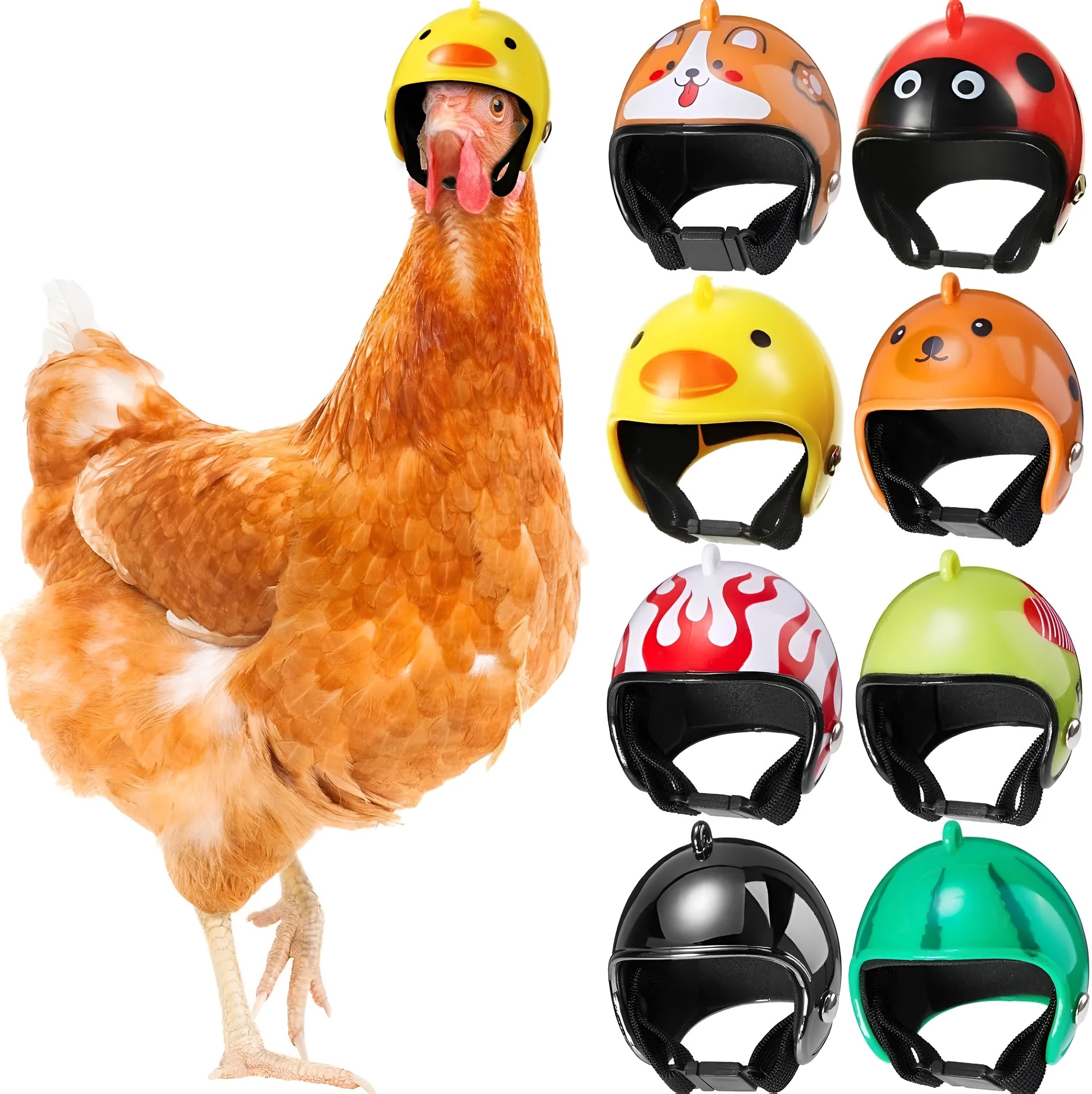 Adjustable plastic chicken helmet for small pet protection with elastic bands and sponge lining